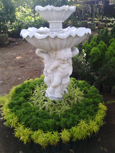Mocacinno Fountain