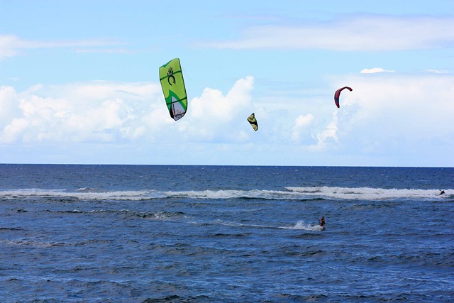 [IMG_2051esmall2.jpg]