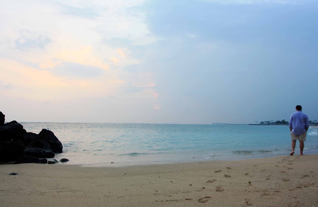 [IMG_2572esmall2.jpg]
