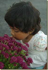 IMGP1585