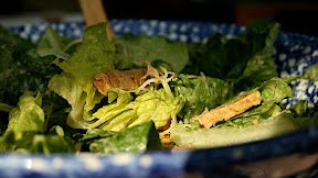 Salade du jardin