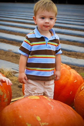 [20081013-DSC_0263[4].jpg]