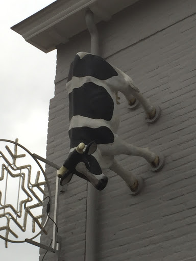 Cow on the Wall
