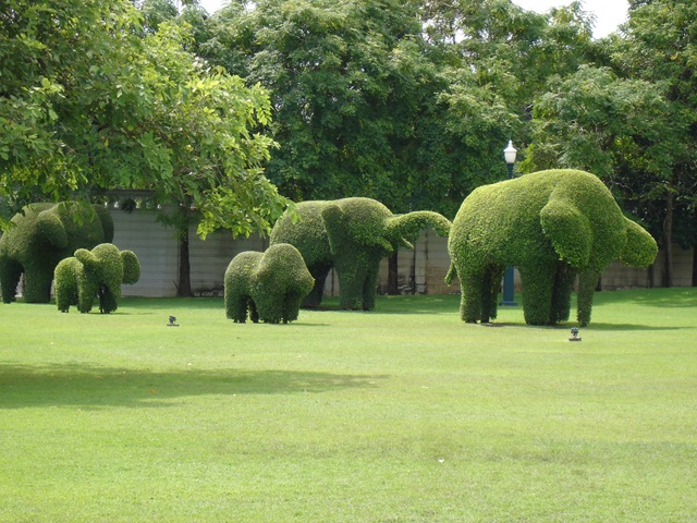 [DSC0008622.jpg]