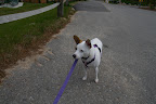 Mindy at Pet's Weekend
