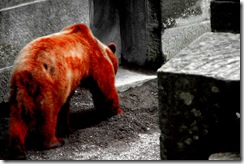 Bear2