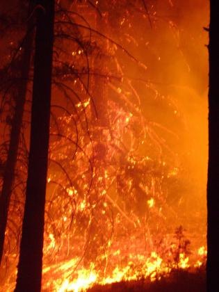 [BridgeCreekFire7.jpg]