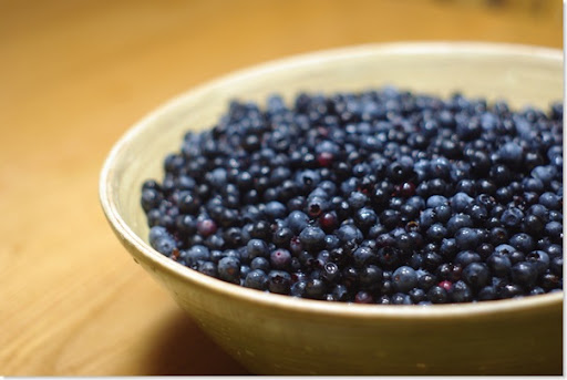 blueberries 009