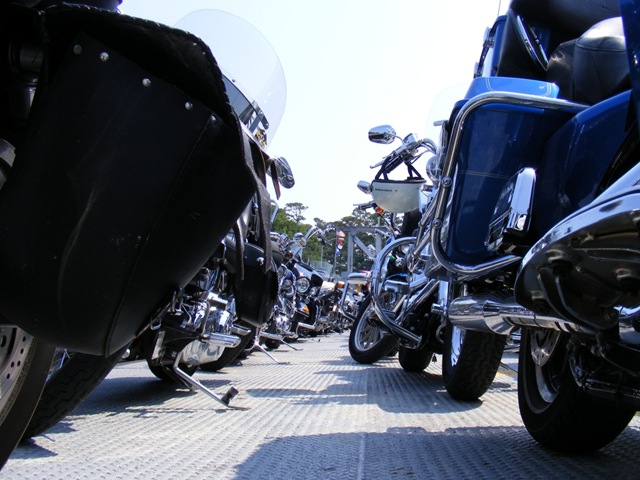 [DSCF0452a3.jpg]
