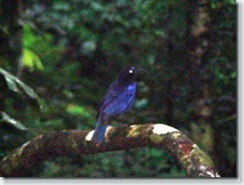 DSC08300_thumb