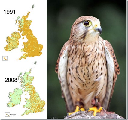 kestrel-map_46598a