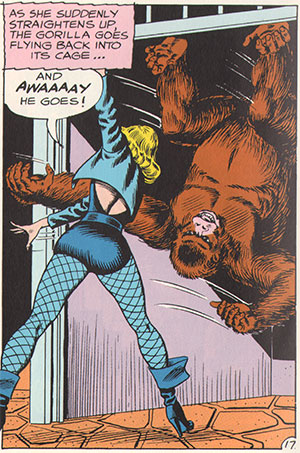 bc_gorilla_04.jpg