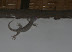 HUGE!  and in my room  lol