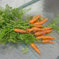 Little Bunny Foo-Foo Cake (Carrot Cake) With Cream Cheese Frosti