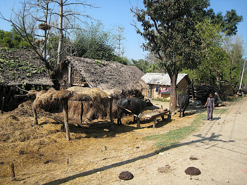 Rural settlement near Thakurdwara