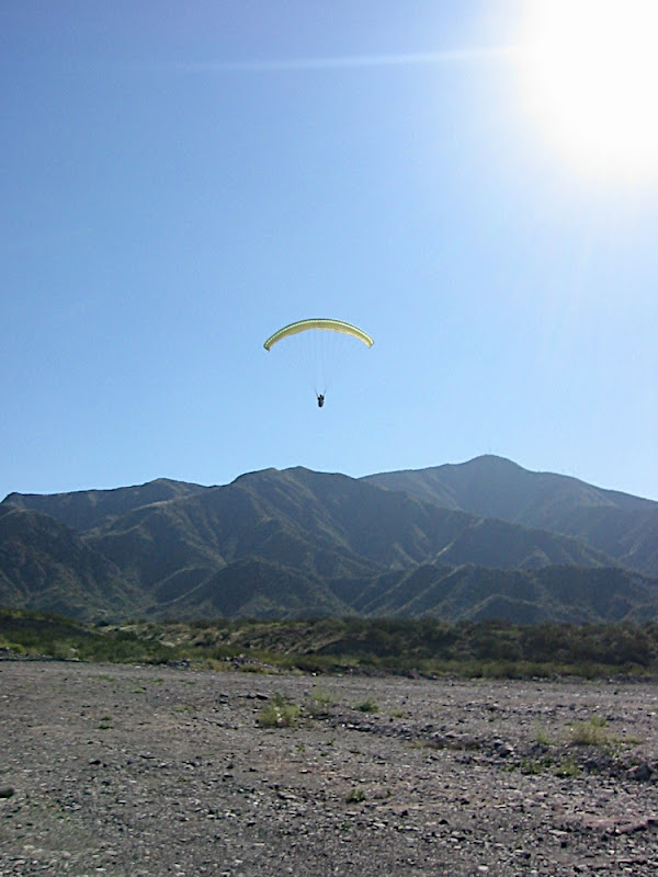 Coming in to land...
