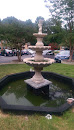 Complex Fountain
