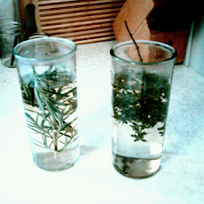 Herb Infused Water
