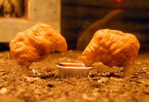 chicken1-thumb.jpg