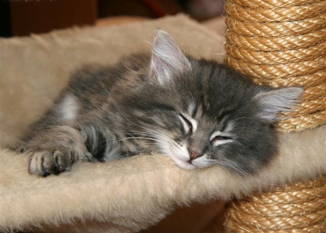 [IMG_5035 (Medium)[3].jpg]