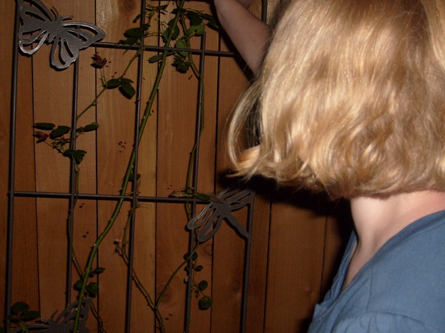 [April 28 2008 050[4].jpg]