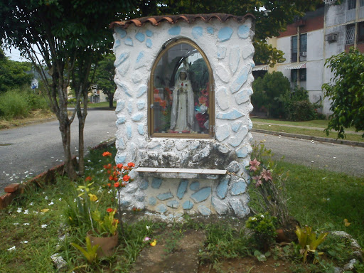 Virgen De La Rosa Mistica