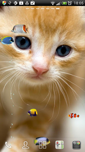 KITTY FISH LIVE WALLPAPER 4