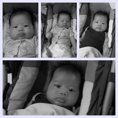 [Jayvon Old Pram[3].jpg]