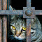 Let_me_out.jpg