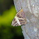 Mosaic Butterfly