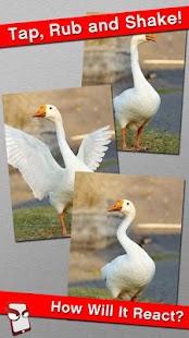 How to mod Angry Goose Free! 1.074 unlimited apk for bluestacks