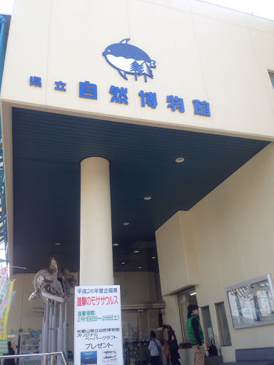 和歌山県立自然博物館