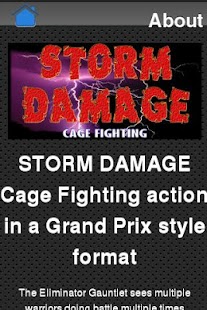 How to get Storm Damage MMA lastet apk for pc