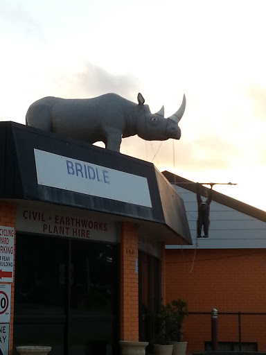 Rhino On The Roof. 