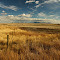 Biking 052 smaller.jpg