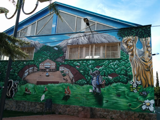 Grafitti Artístico Colegio Virgen Del Rosario