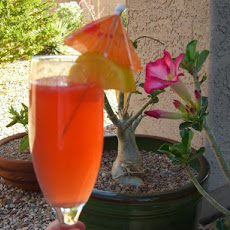 Due Campari Cocktail