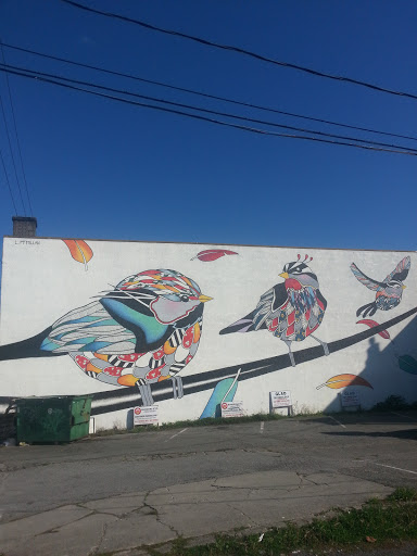 Burnaby Heights Birdie Mural