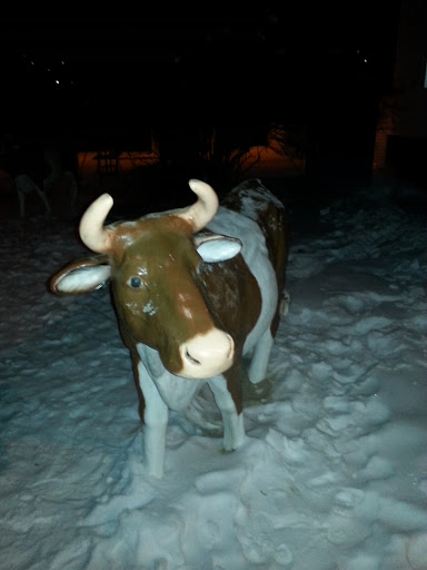 Корова 2