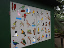 Umgeni Bird Park Mural & Kiosk