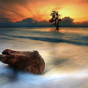 feeling the rush by Ledon Jasper Samoranos - Landscapes Waterscapes