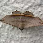 Lesmone formularis