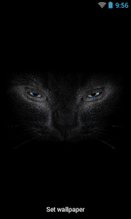 How to install Black cat eyes live wallpaper lastet apk for laptop