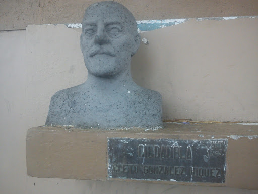 Busto Ciudadela Cleto González Viquez