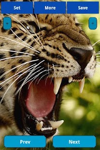 How to download Leopard wallpapers 1.5.0 mod apk for android
