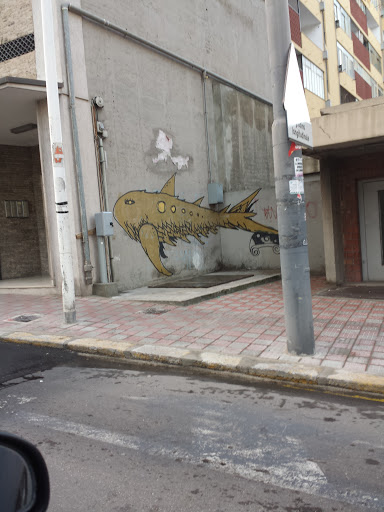 Yellow Balena Graffiti