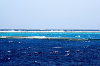 IMG_1488.JPG