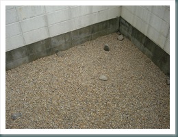Yard Renovation 009