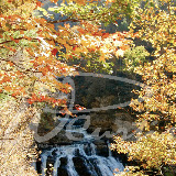 W.P. Wes Smith - WNC Mountain Photography