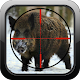 Boar Hunter Sniper